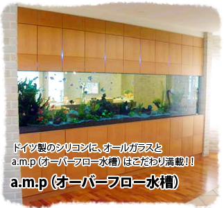 a.m.p(オーバーフロー水槽) ドイツ製のシリコンに、オールガラスとa.m.p(オーバーフロー水槽)はこだわり満載!!