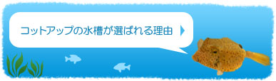 コットアップの水槽が選ばれる理由