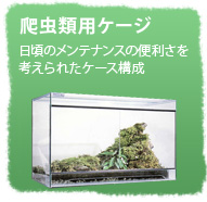 爬虫類用ケージ 日頃のメンテナンスの便利さを考えられたケース構成
