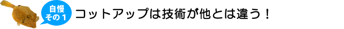 コットアップの自慢1．コットアップは技術が他とは違う！