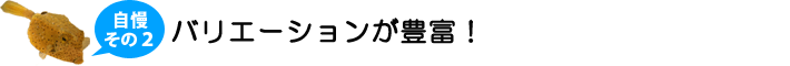 コットアップの自慢2．バリエーションが豊富！