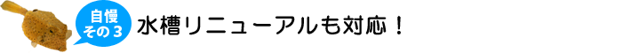 コットアップの自慢3．水槽リニューアルも対応！